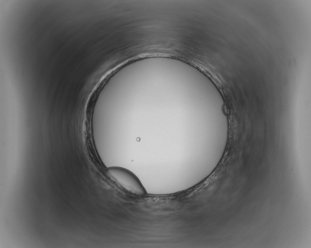 X0000114640338200910200945