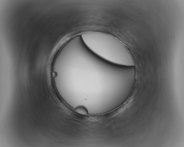 X0000114640341200910200945