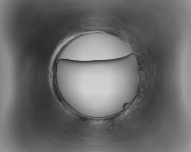 X0000114640342200910200945