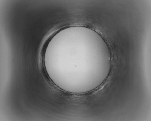 X0000114640343200910200945