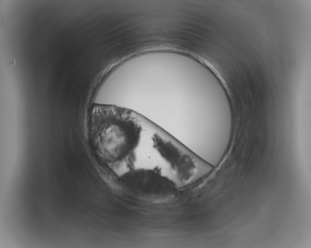 X0000114640345200910200945