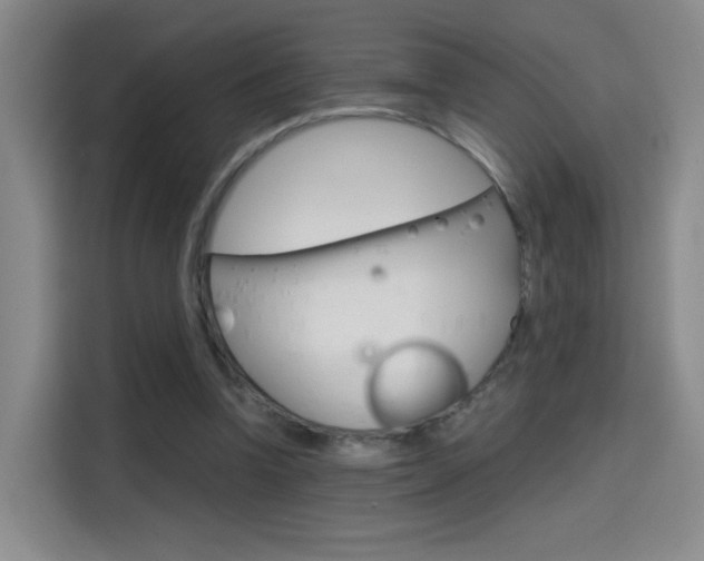 X0000114640346200910200945