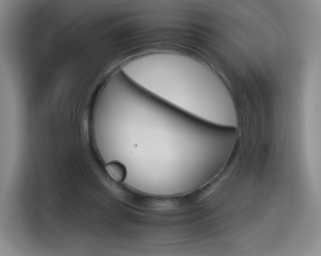 X0000114640349200910200945