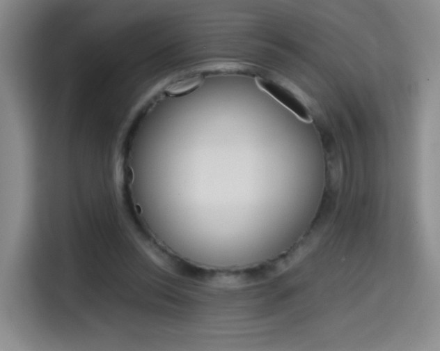 X0000114640350200910200945