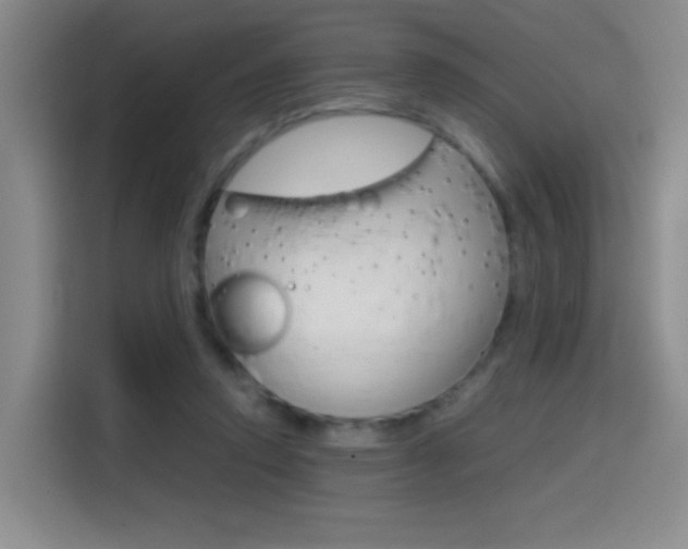 X0000114640354200910200945