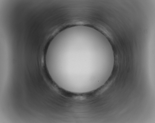 X0000114640358200910200945