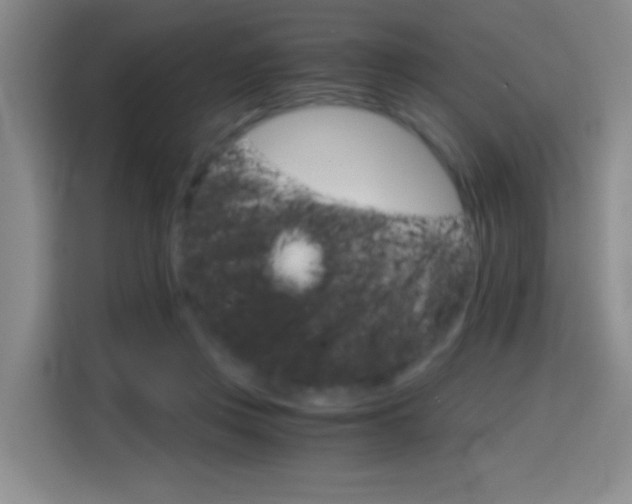X0000114640359200910200945