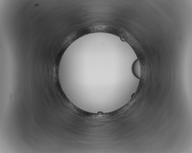 X0000114640378200910200945