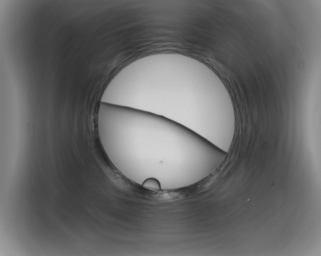 X0000114640379200910200945
