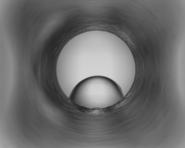 X0000114640382200910200945
