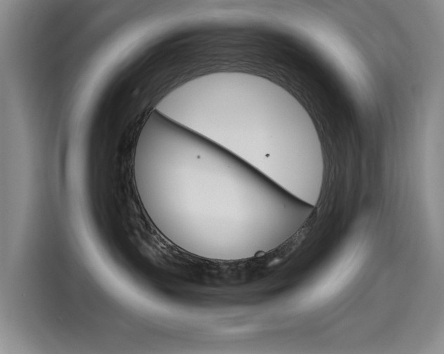 X0000114640383200910200946