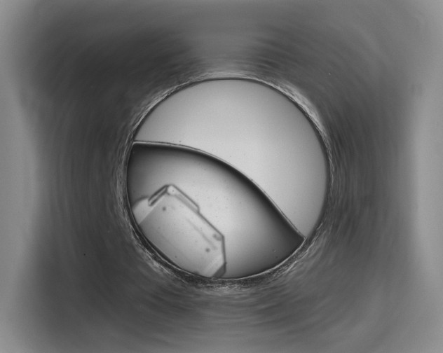 X0000114640385200910200945