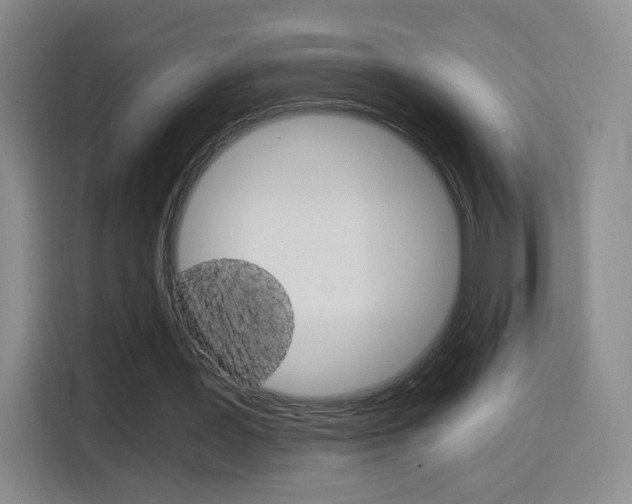 X0000114640387200910200945