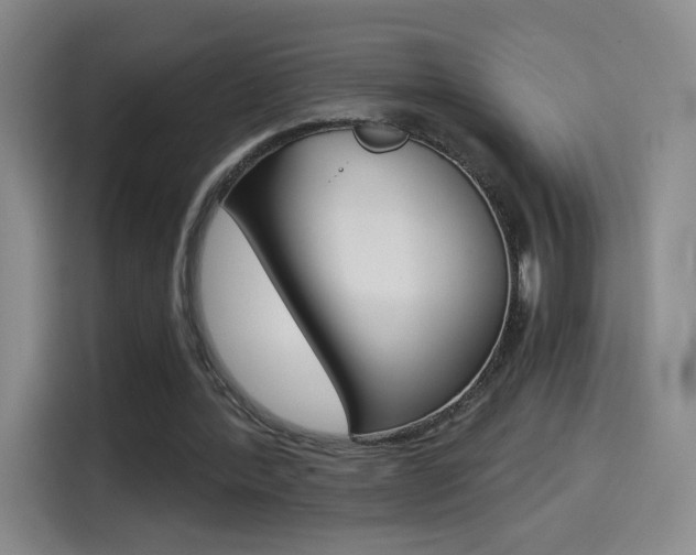 X0000114640388200910200945