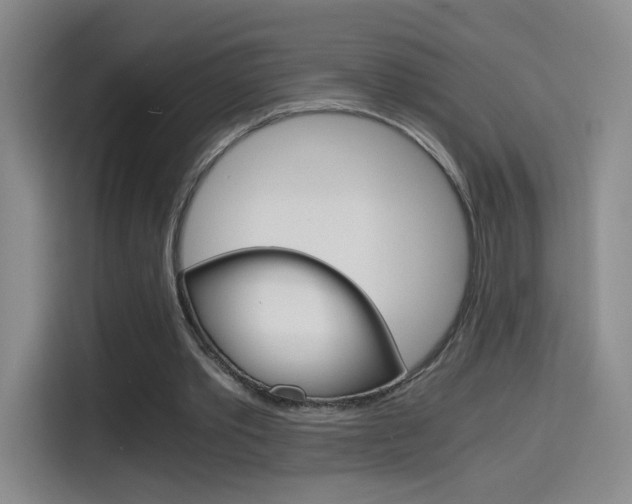 X0000114640389200910200945