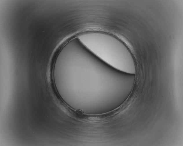 X0000114640391200910200945