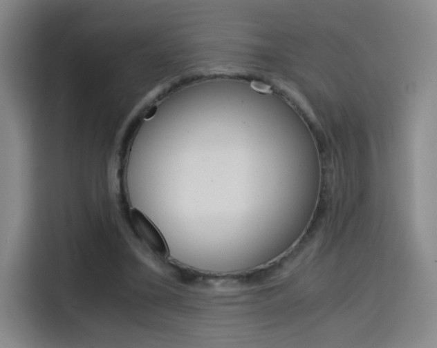 X0000114640395200910200945