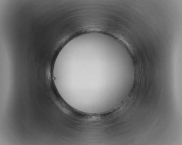 X0000114640398200910200945