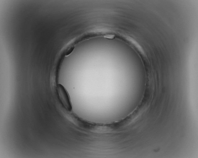 X0000114640399200910200945
