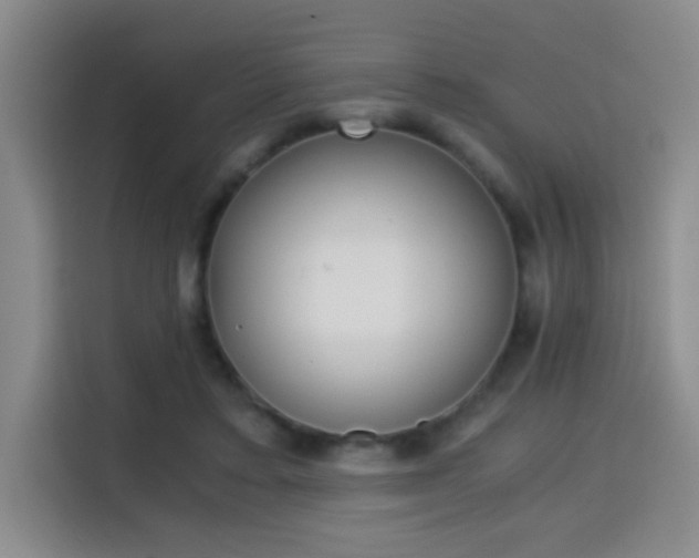 X0000114640403200910200945