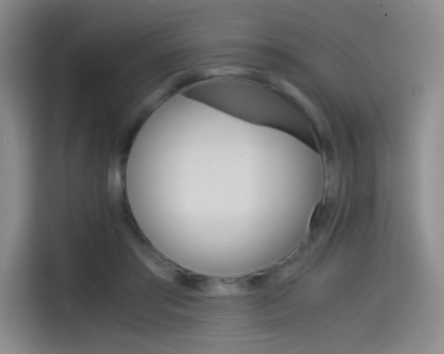 X0000114640405200910200945