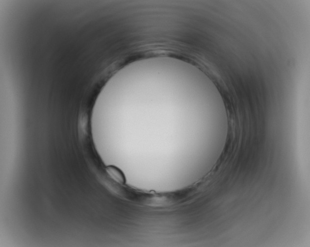 X0000114640406200910200945