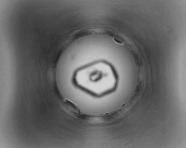 X0000114640409200910200945