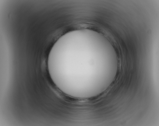 X0000114640410200910200945