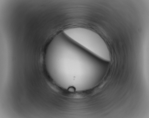 X0000114640412200910200945