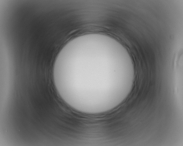 X0000114640413200910200945