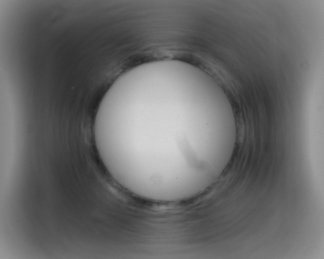 X0000114640414200910200945