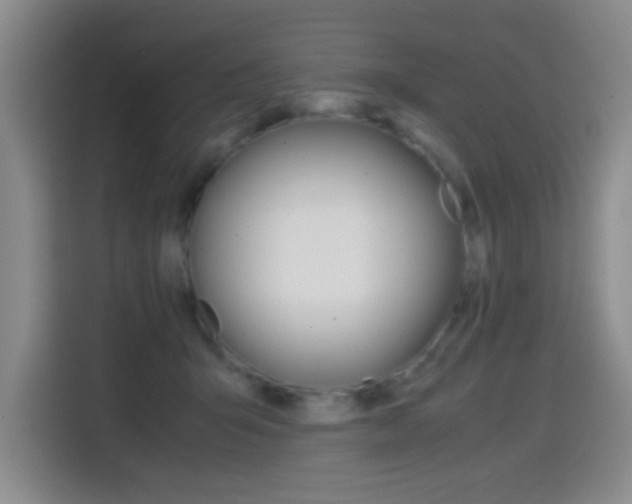 X0000114640415200910200945