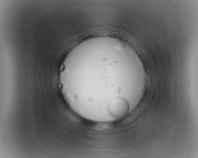X0000114640418200910200944