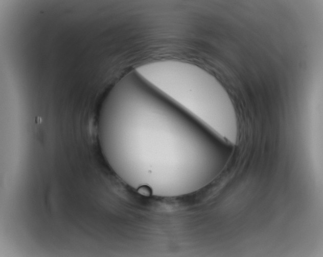 X0000114640420200910200944
