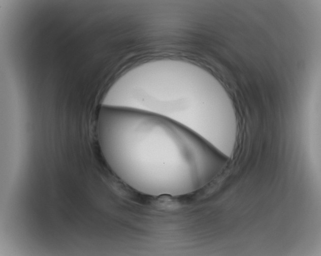 X0000114640421200910200944