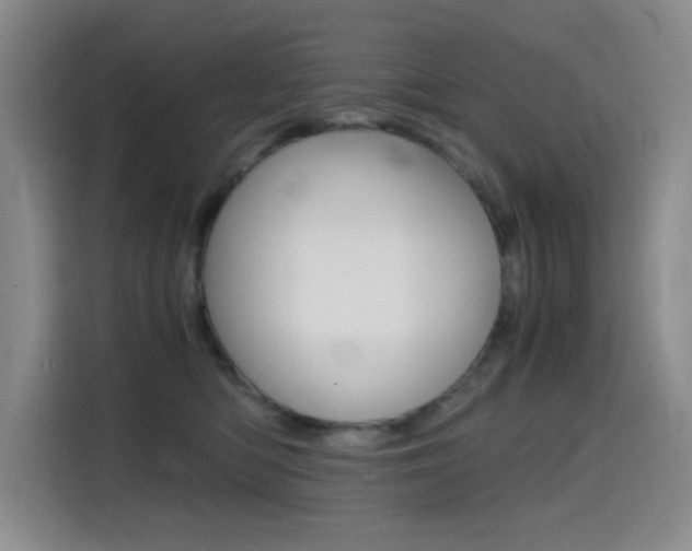X0000114640422200910200944
