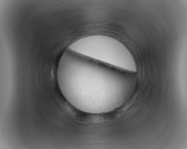 X0000114640424200910200944