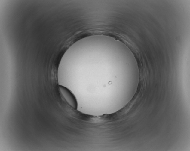 X0000114640425200910200944