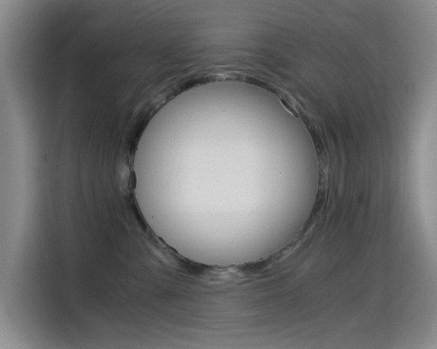 X0000114640427200910200944