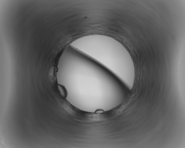 X0000114640428200910200944