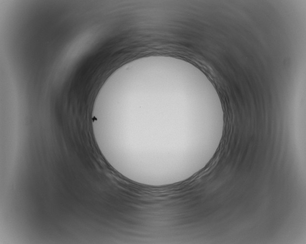 X0000114640429200910200944