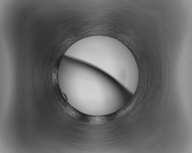X0000114640432200910200944