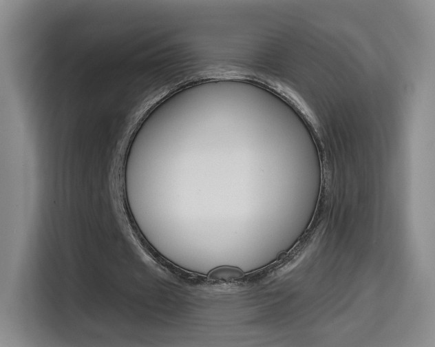 X0000114640433200910200944