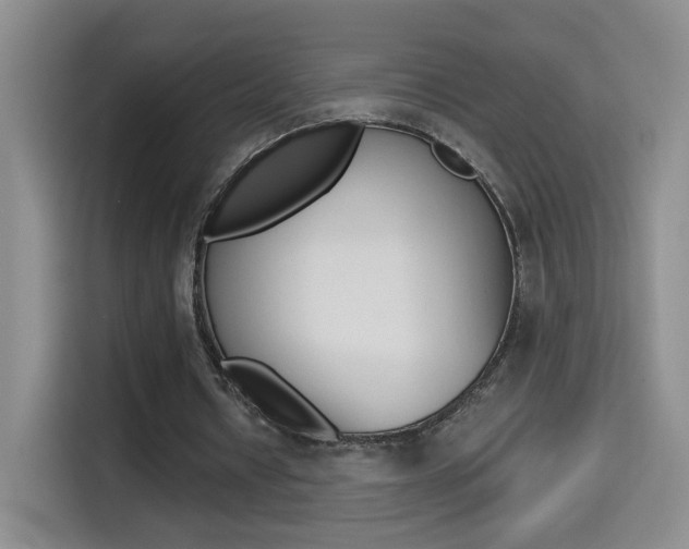X0000114640434200910200944