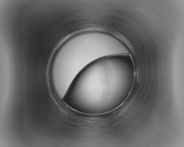 X0000114640436200910200944