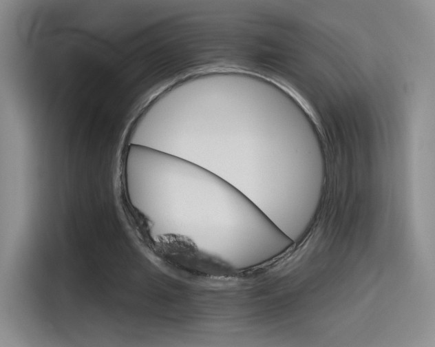 X0000114640437200910200944