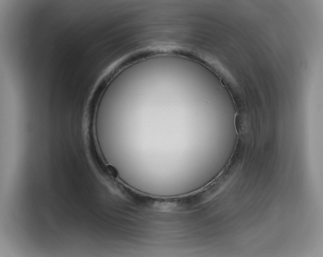 X0000114640440200910200944