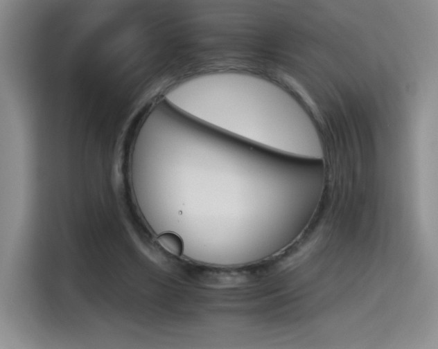 X0000114640443200910200944