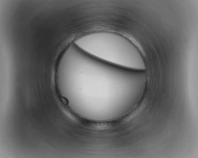 X0000114640445200910200944