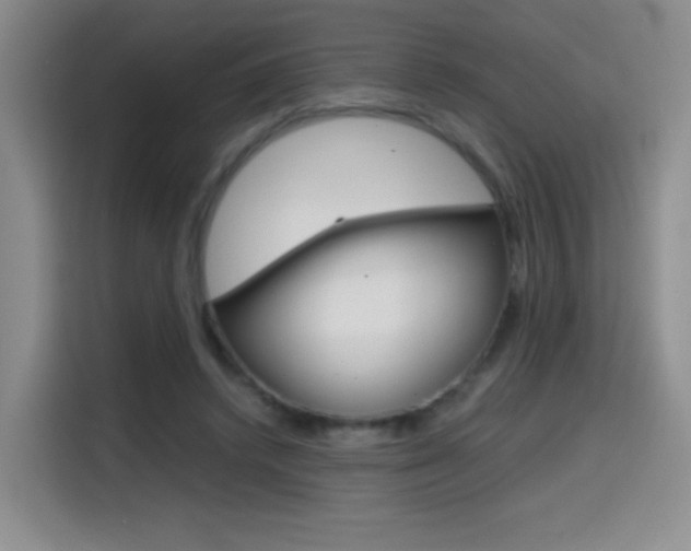 X0000114640448200910200944